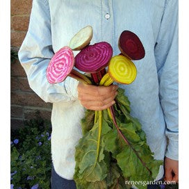 Beets Five Color Rainbow by Renee's Garden