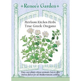 Oregano, Greek, Heirloom by Renee's Garden